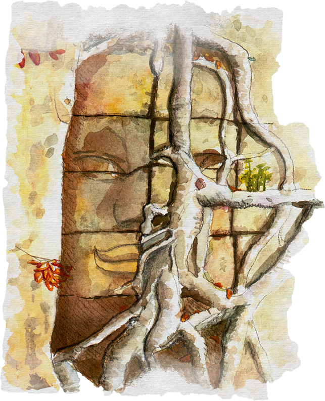 Aquarelle visage et racines