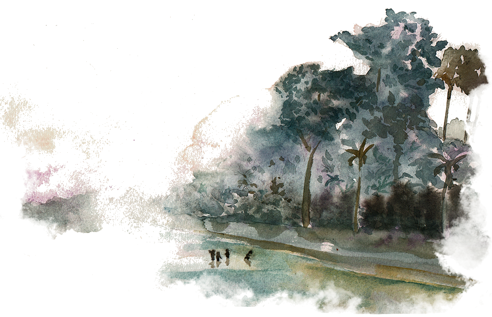 Aquarelle visage et racines